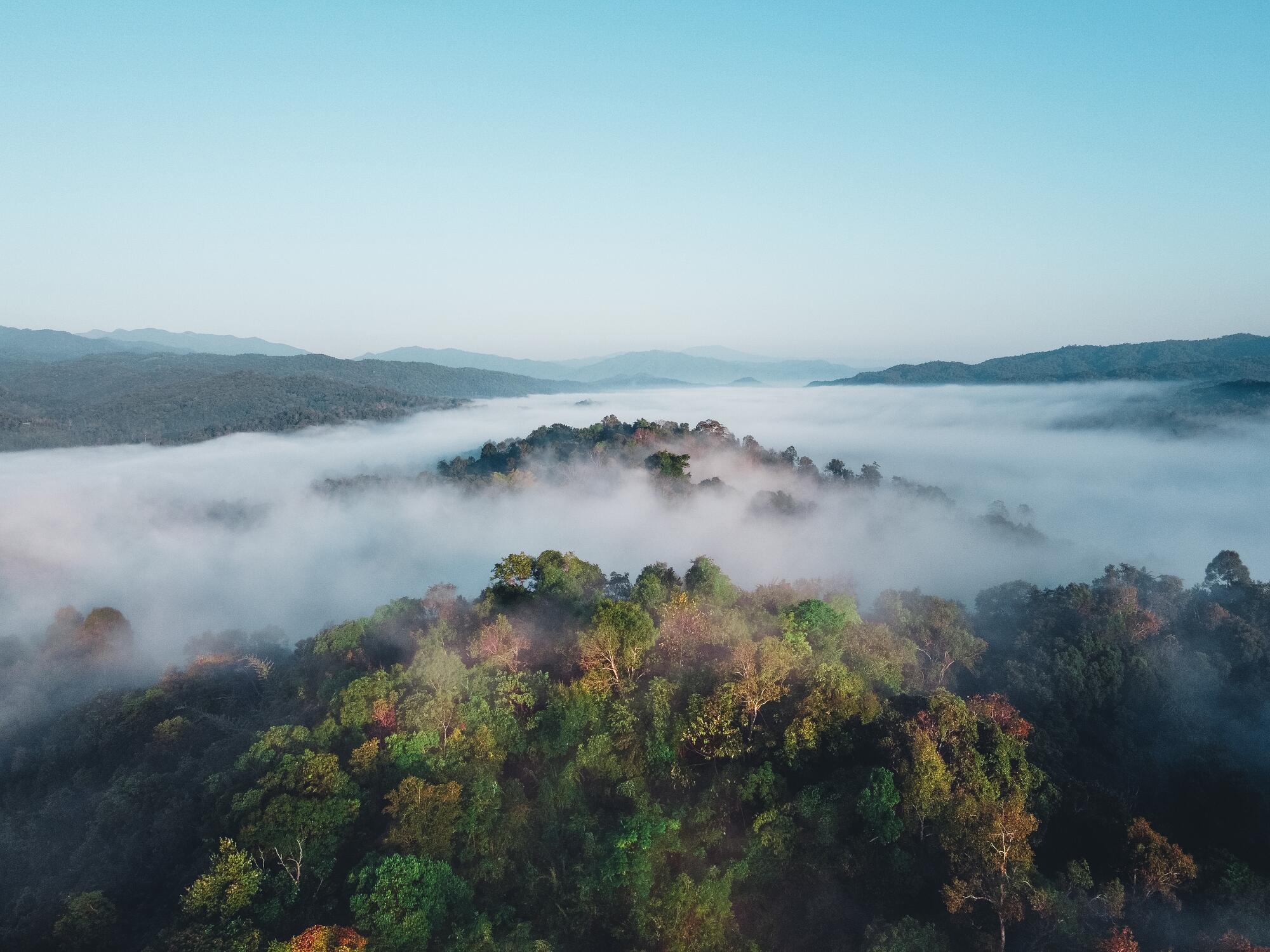 West Virginia moutains